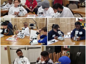 SERC Field Trip-2